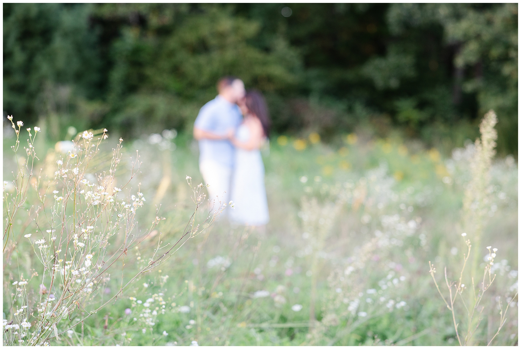 Golden Hour Engagement Session at New England Botanical Gardens 