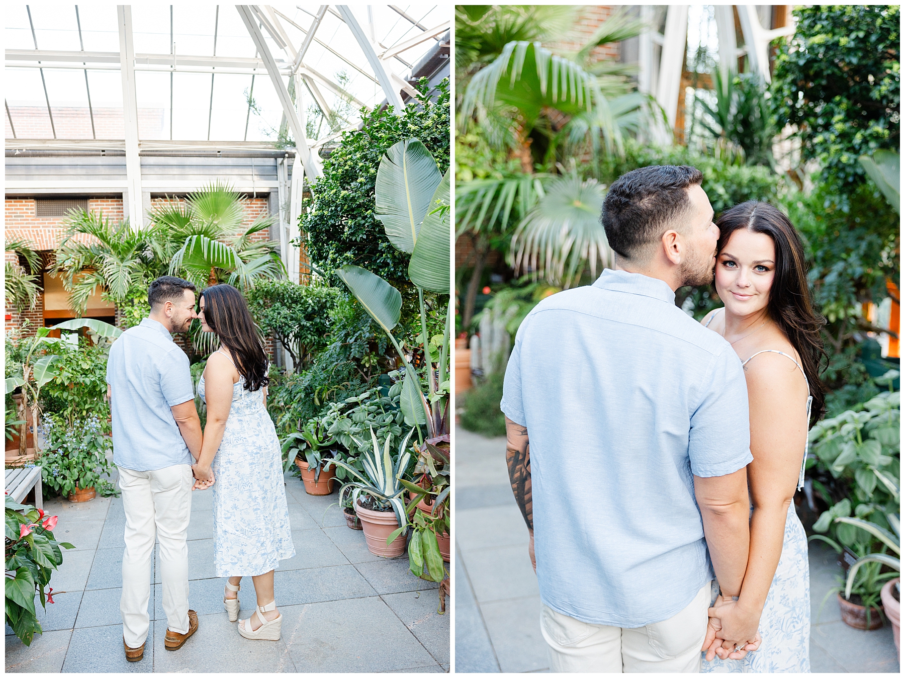 Green House Engagement Session at New England Botanical Gardens 