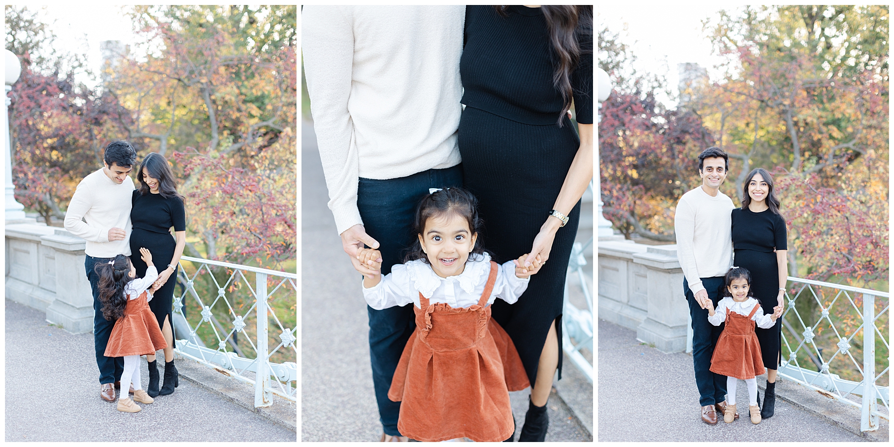 Maternity at Boston Public Gardens 