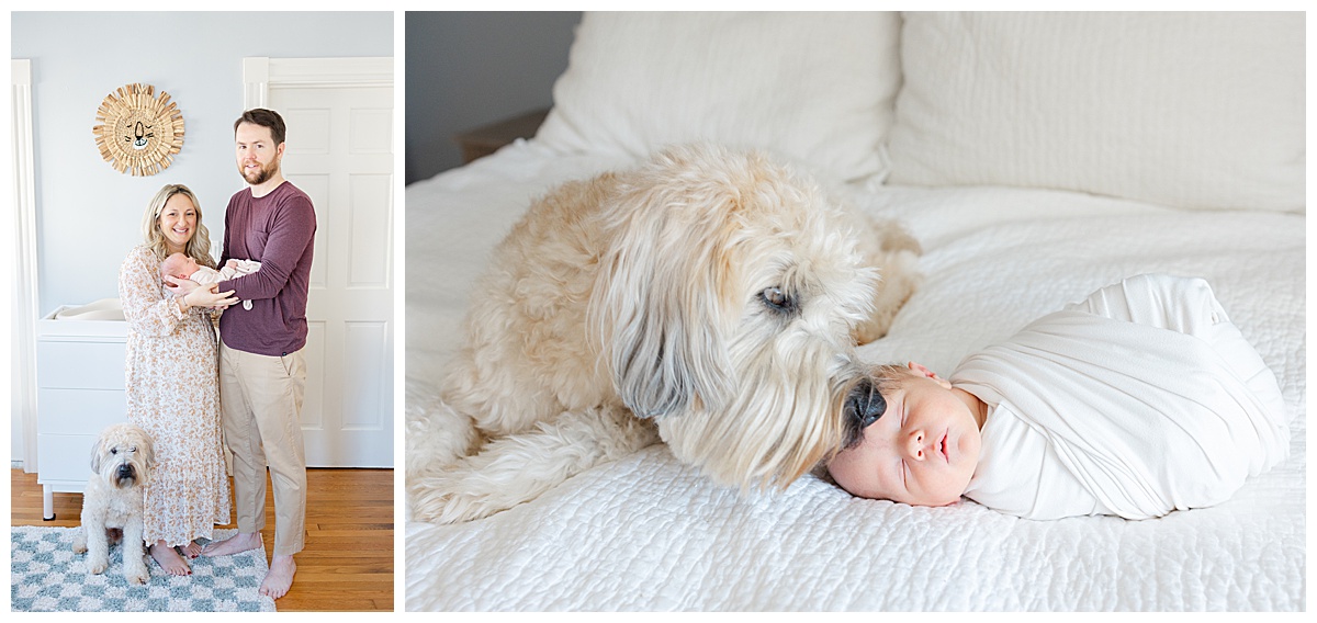 How to include your dog in your newborn session in Boston, MA?