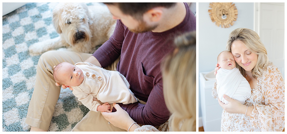 How to include your dog in your newborn session in Boston, MA?