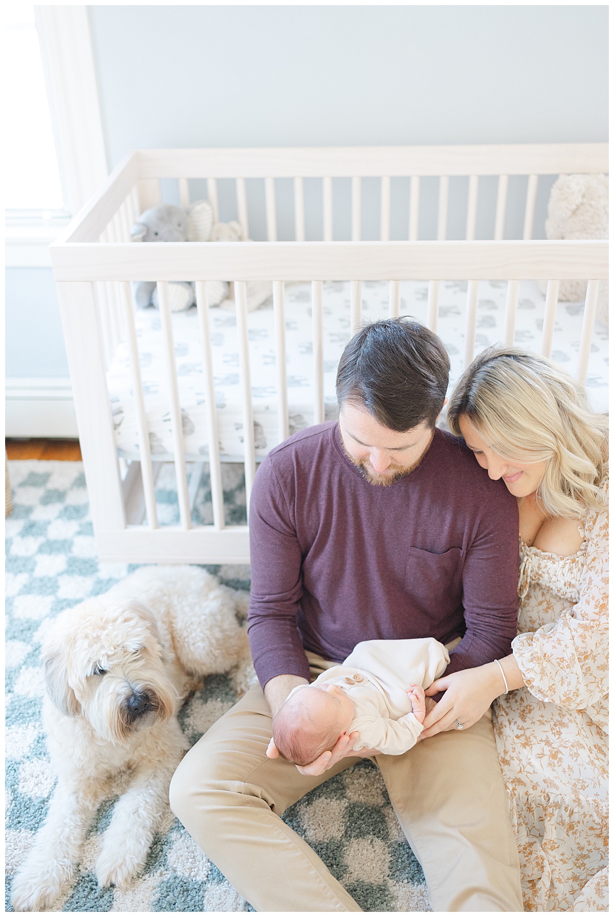 How to include your dog in your newborn session in Boston, MA?