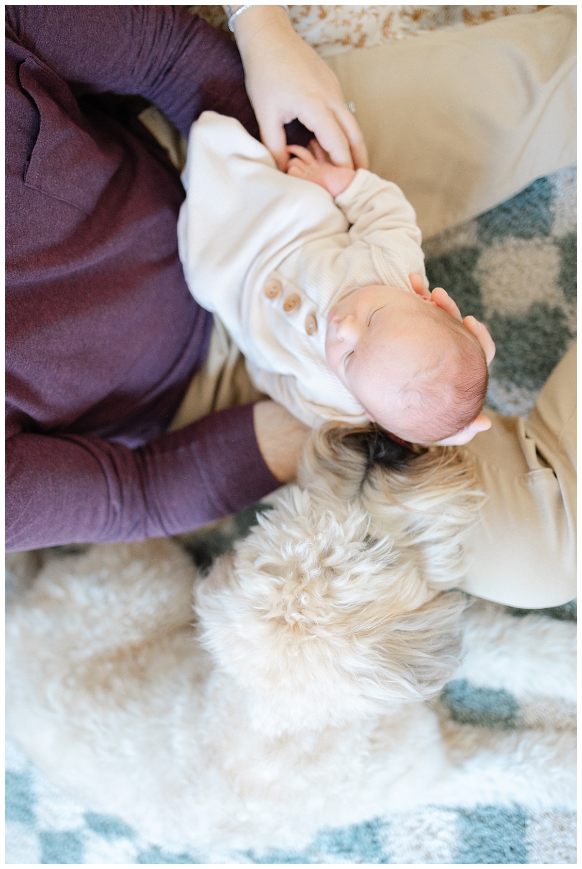 How to include your dog in your newborn session in Boston, MA?